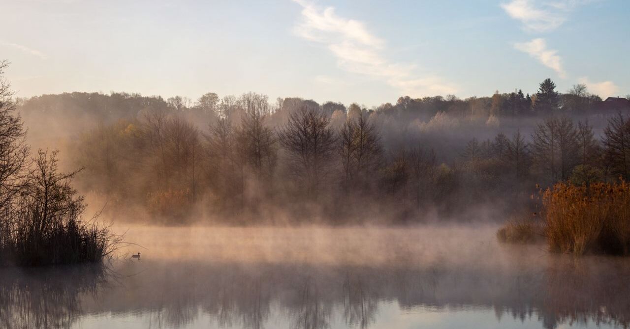 Gorgeous Mornings Photo Contest